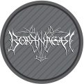 Borknagar