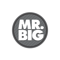 Mr. Big